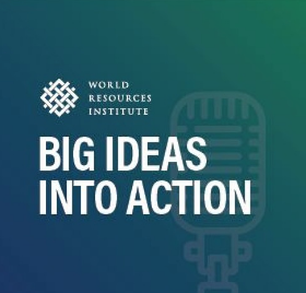WRI-podcast