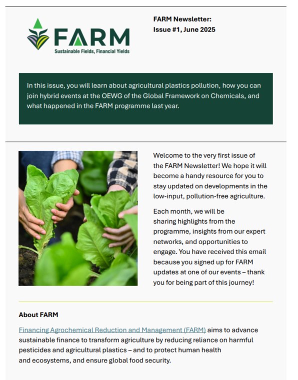 Newsletter - First Edition