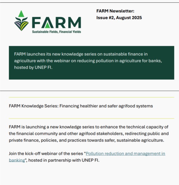 Newsletter- Second edition