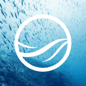 cropped-Ocean.png
