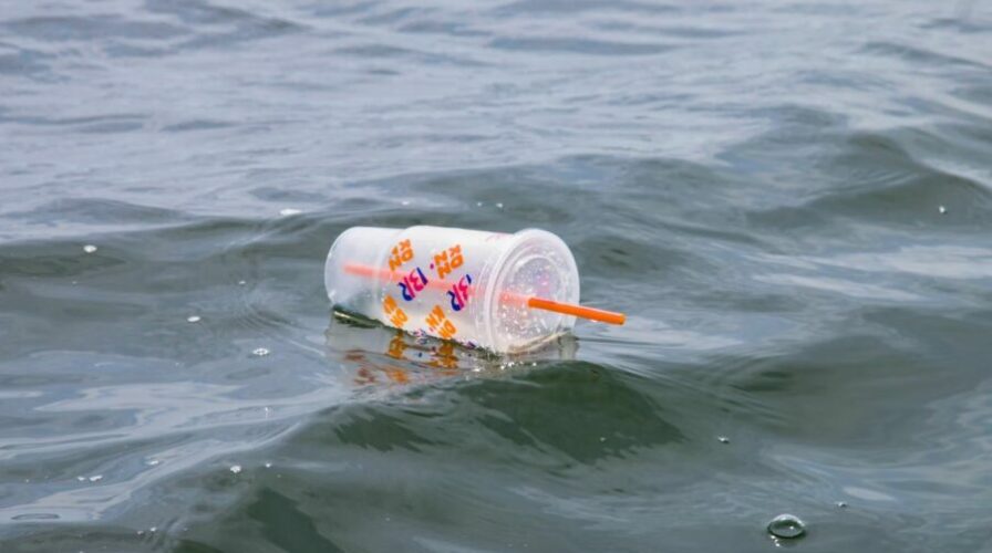 plaastic-cup-floating-in-the-sea-scaled.jpg