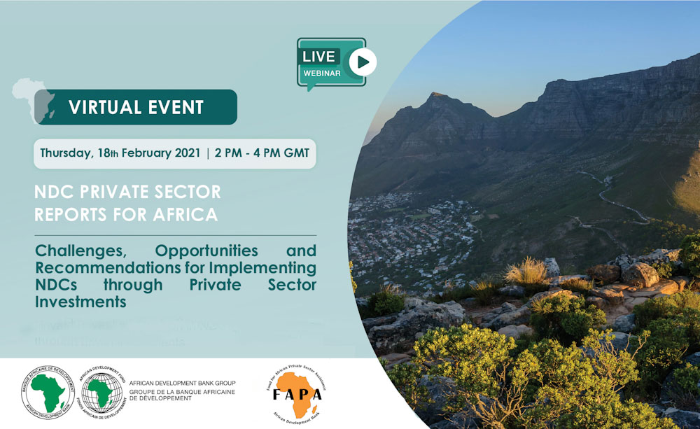 AfDBwebinar2021Feb