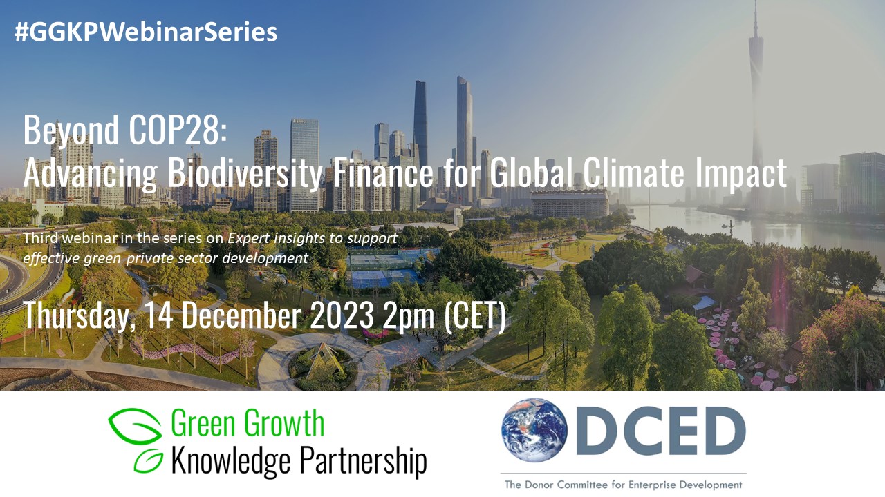 Beyond COP28 - Advancing Biodiversity Finance for Global Climate Impact