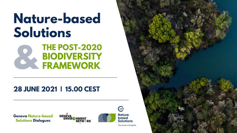 Nature-based Solution and the Post-2020 Biodiversity Framework dialogue
