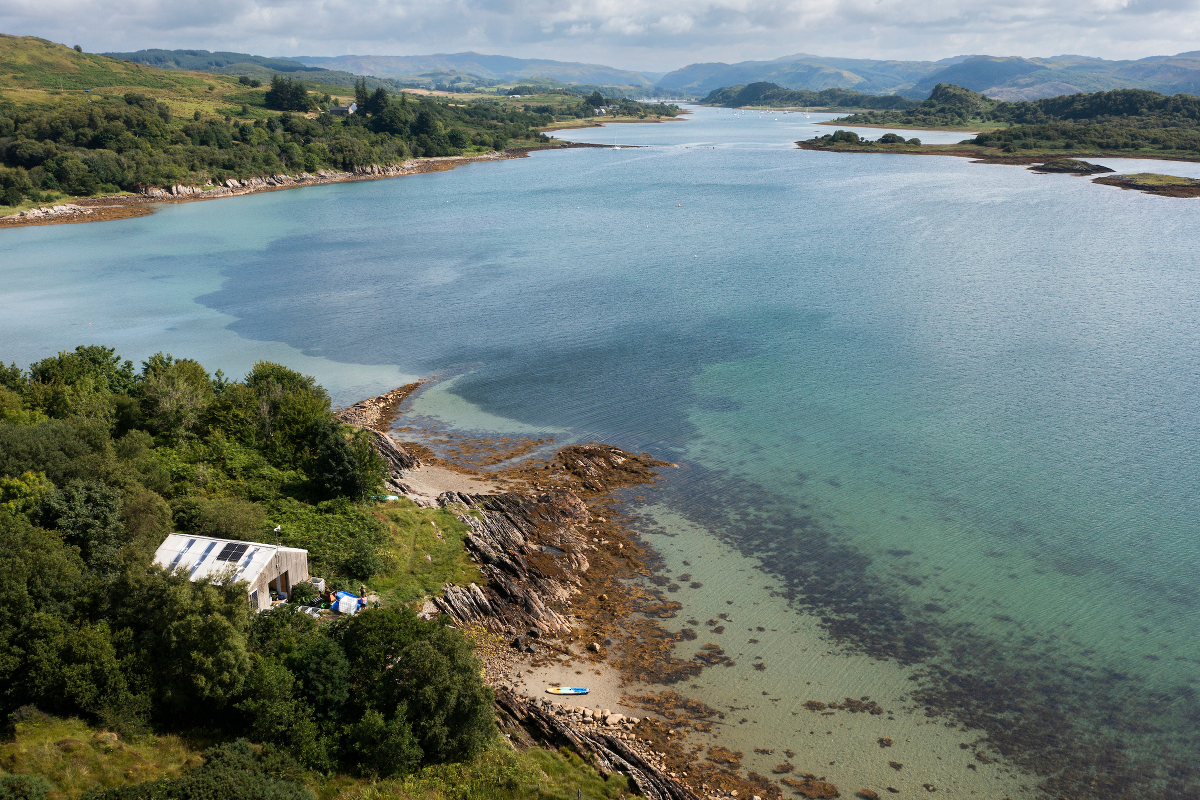 Seagrass meadows in Loch Craignish, Scotland