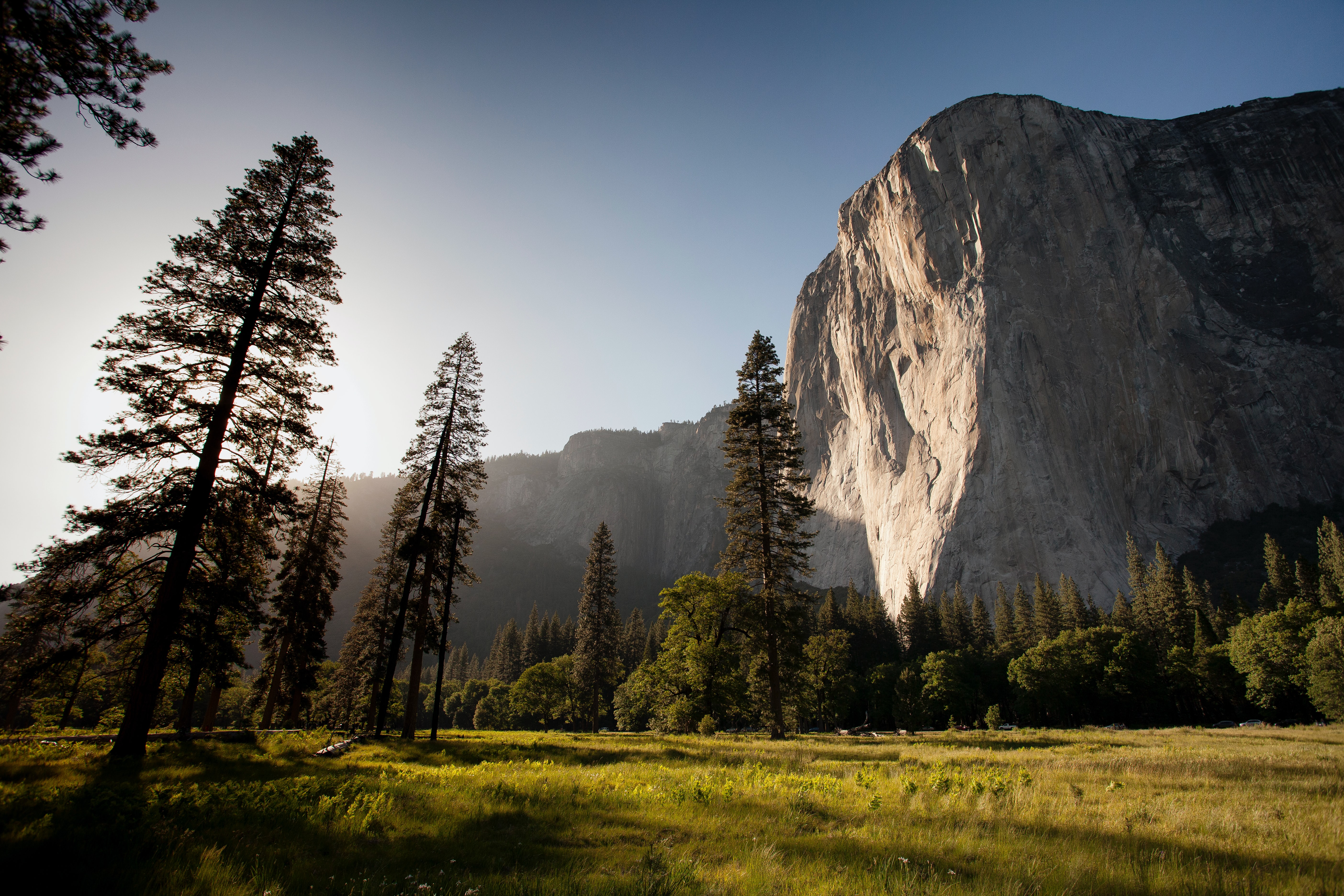Photo by Adam Kool on Unsplash