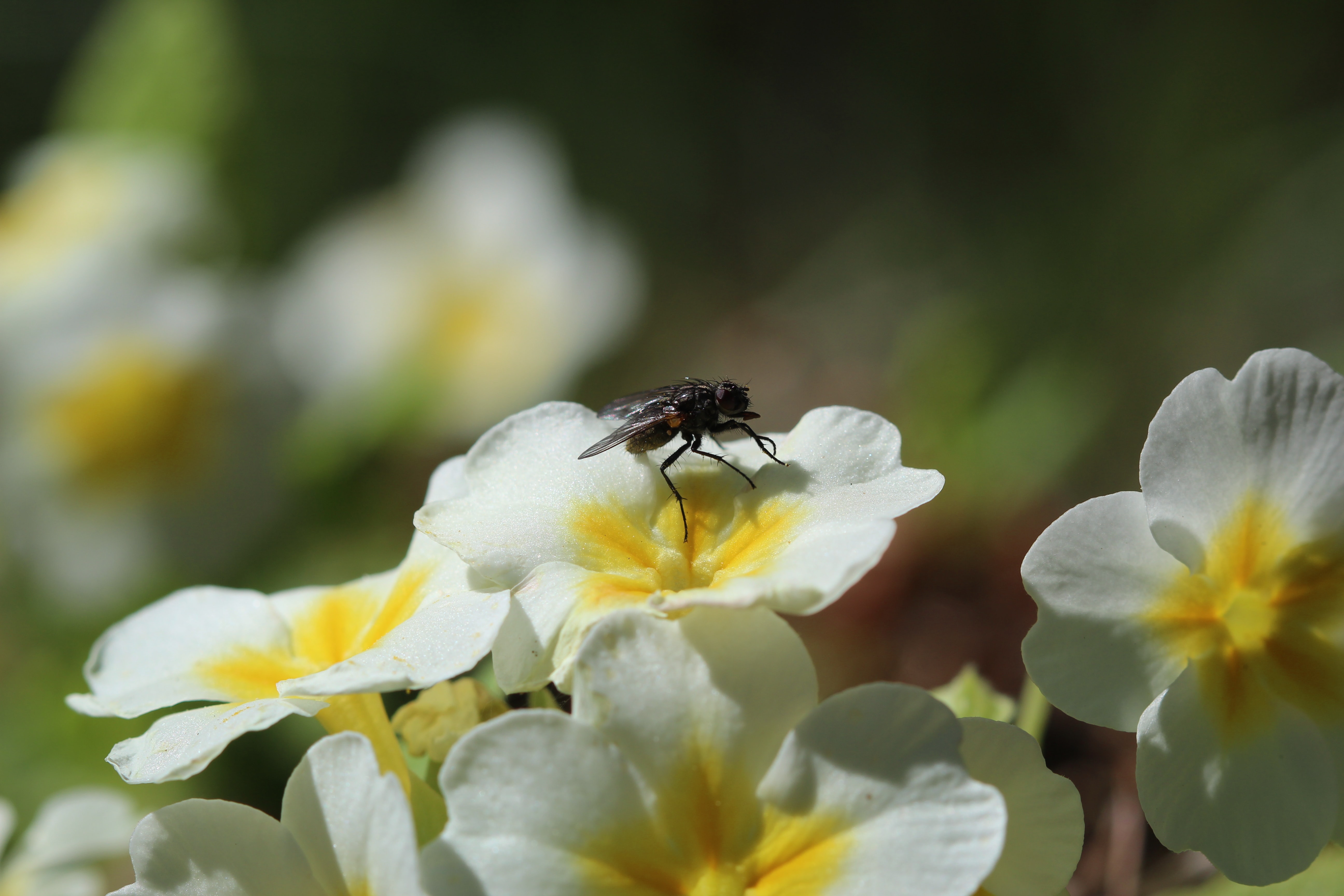 Photo by Anne Nygård on Unsplash
