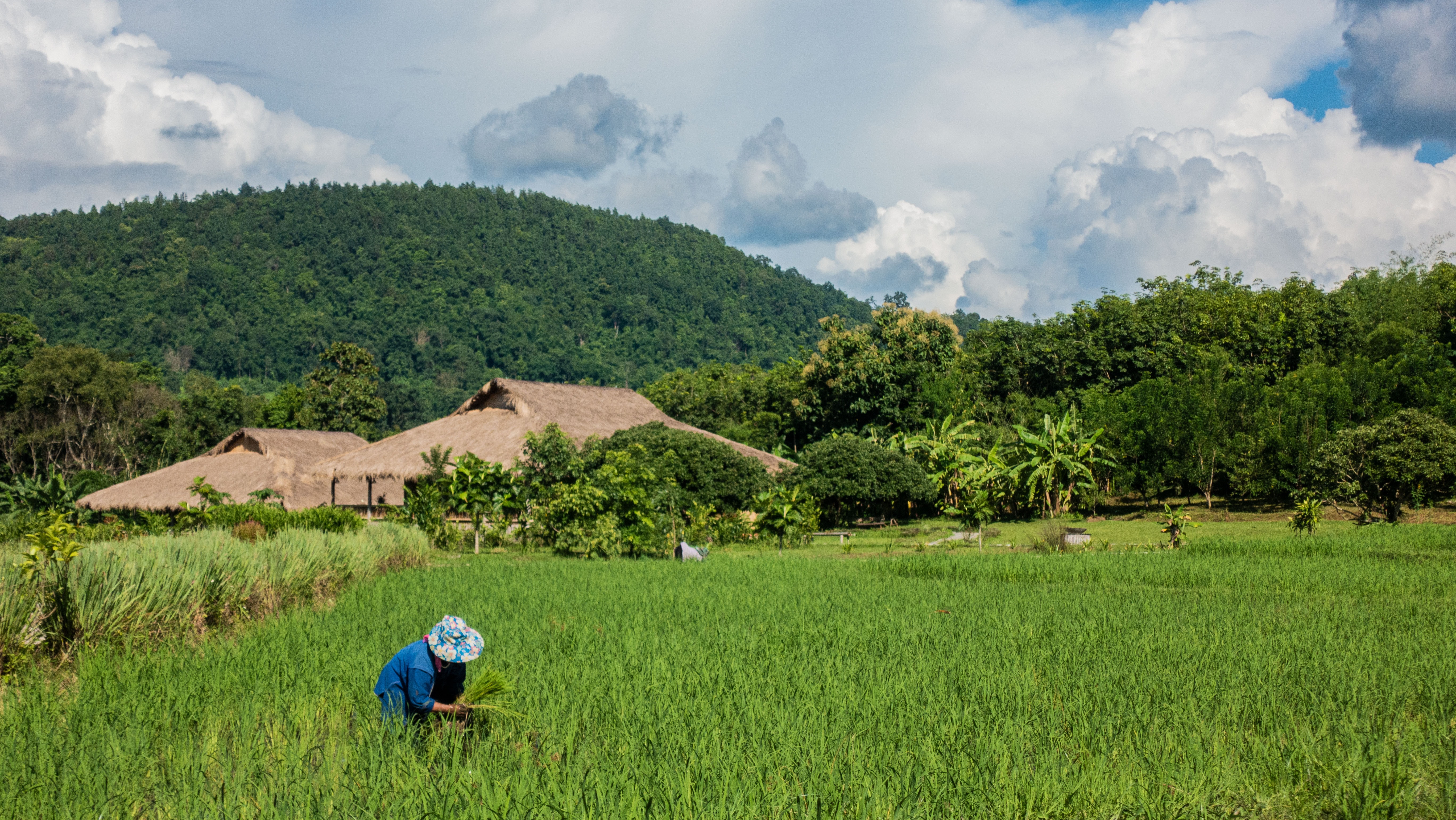 Photo by Dennis Rochel on Unsplash