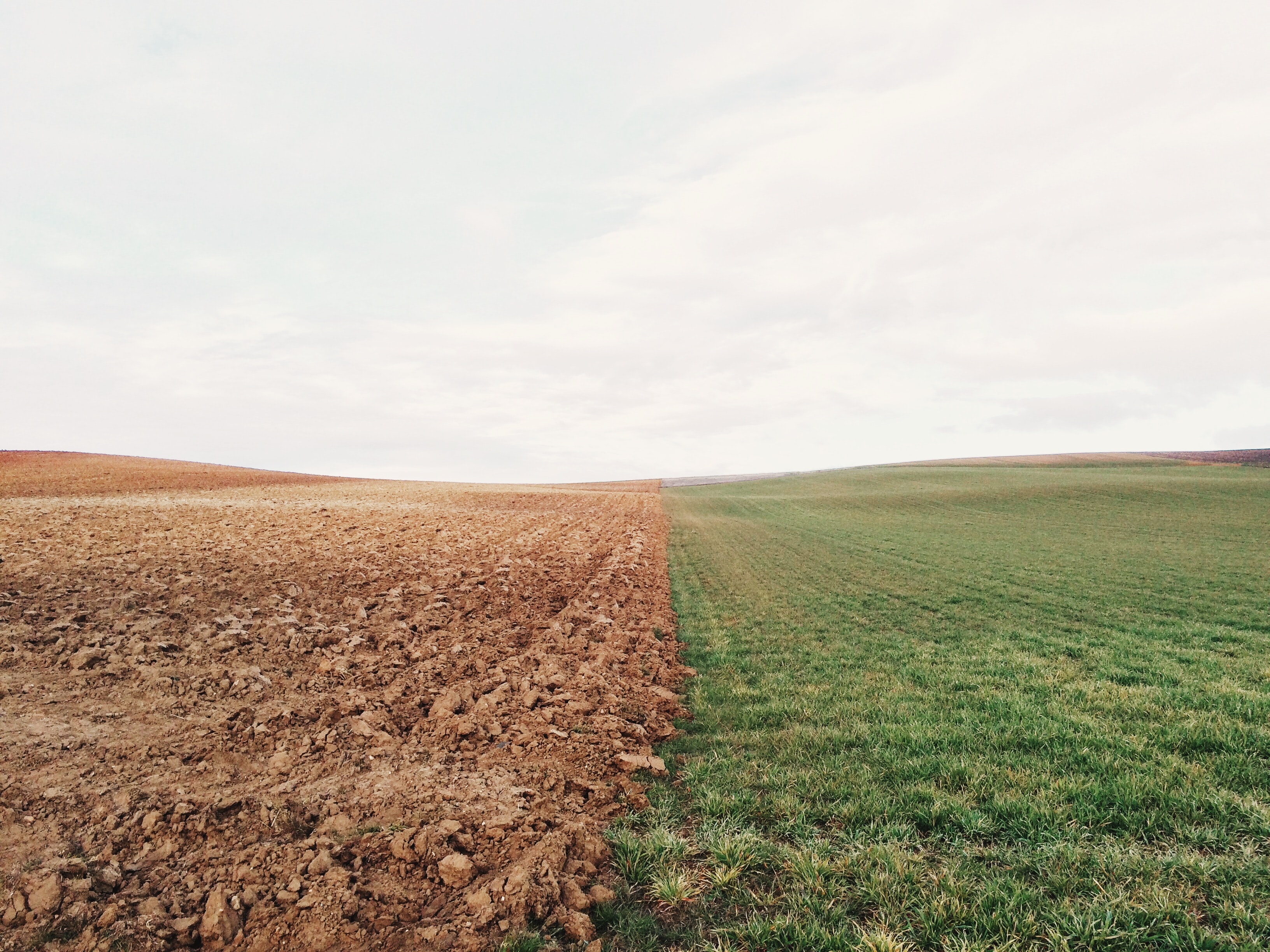 Photo by Elizabeth Lies on Unsplash