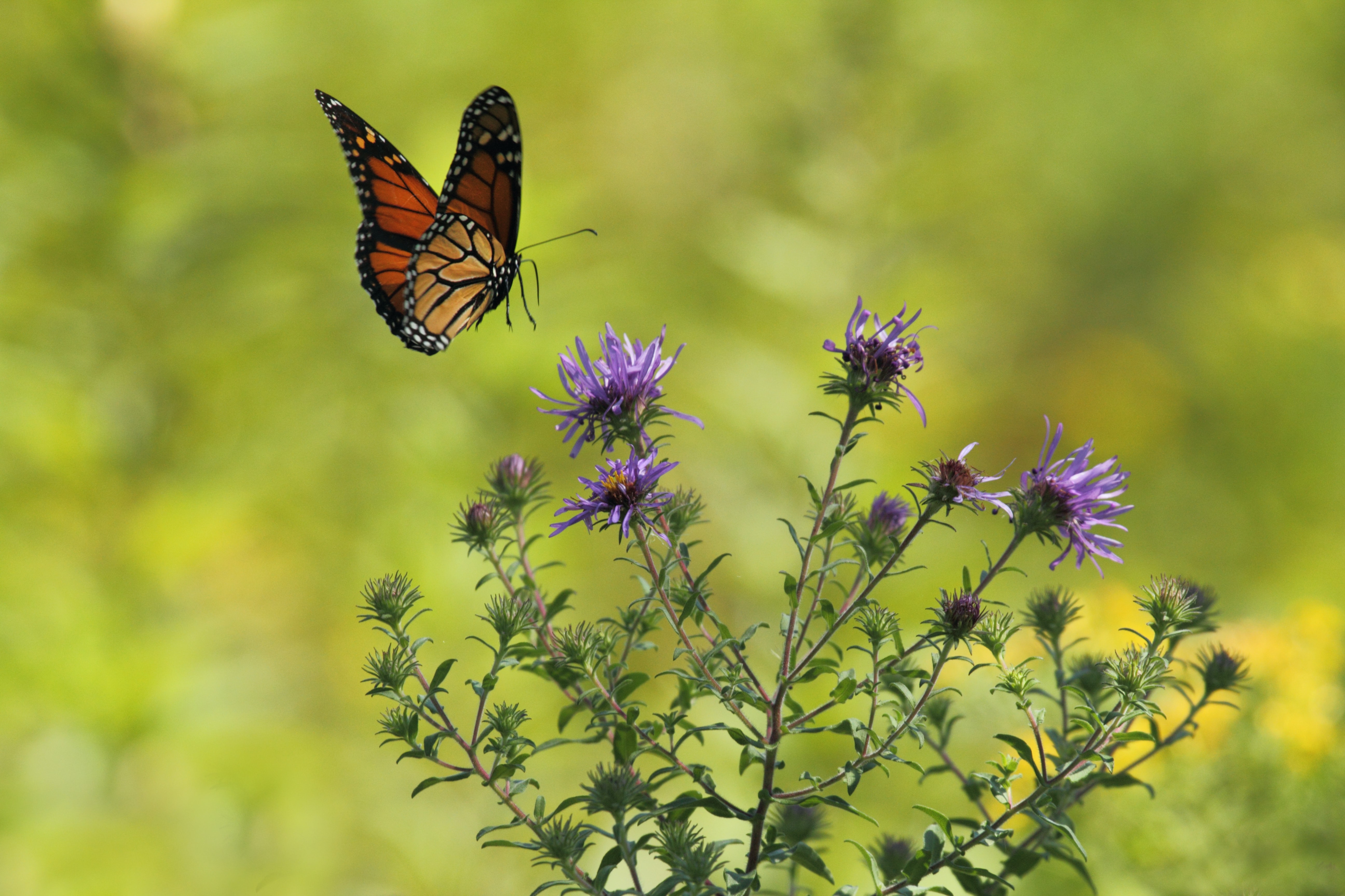 Photo by Gary Bendig on Unsplash
