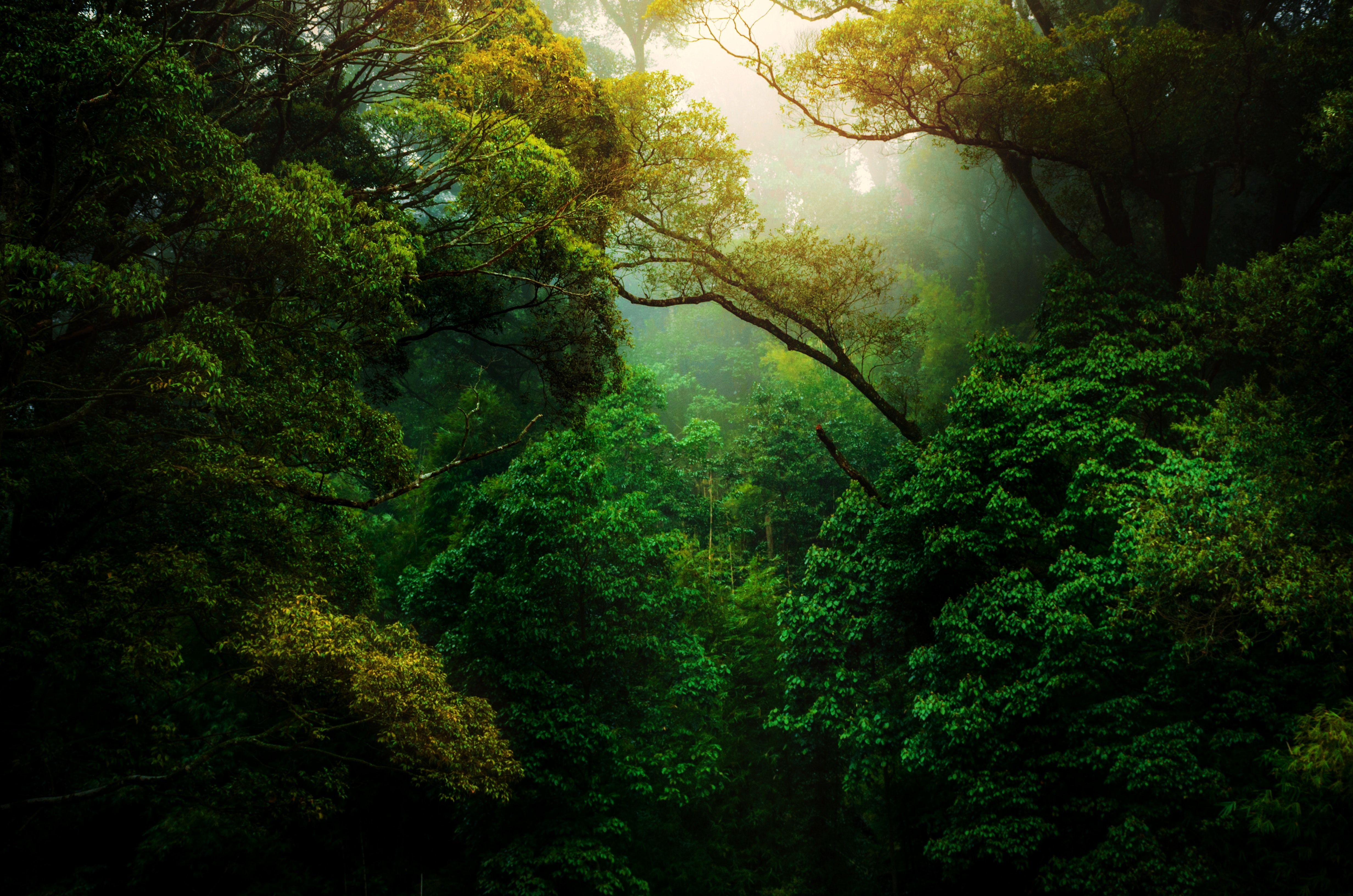 Photo by Kunal Shinde on Unsplash