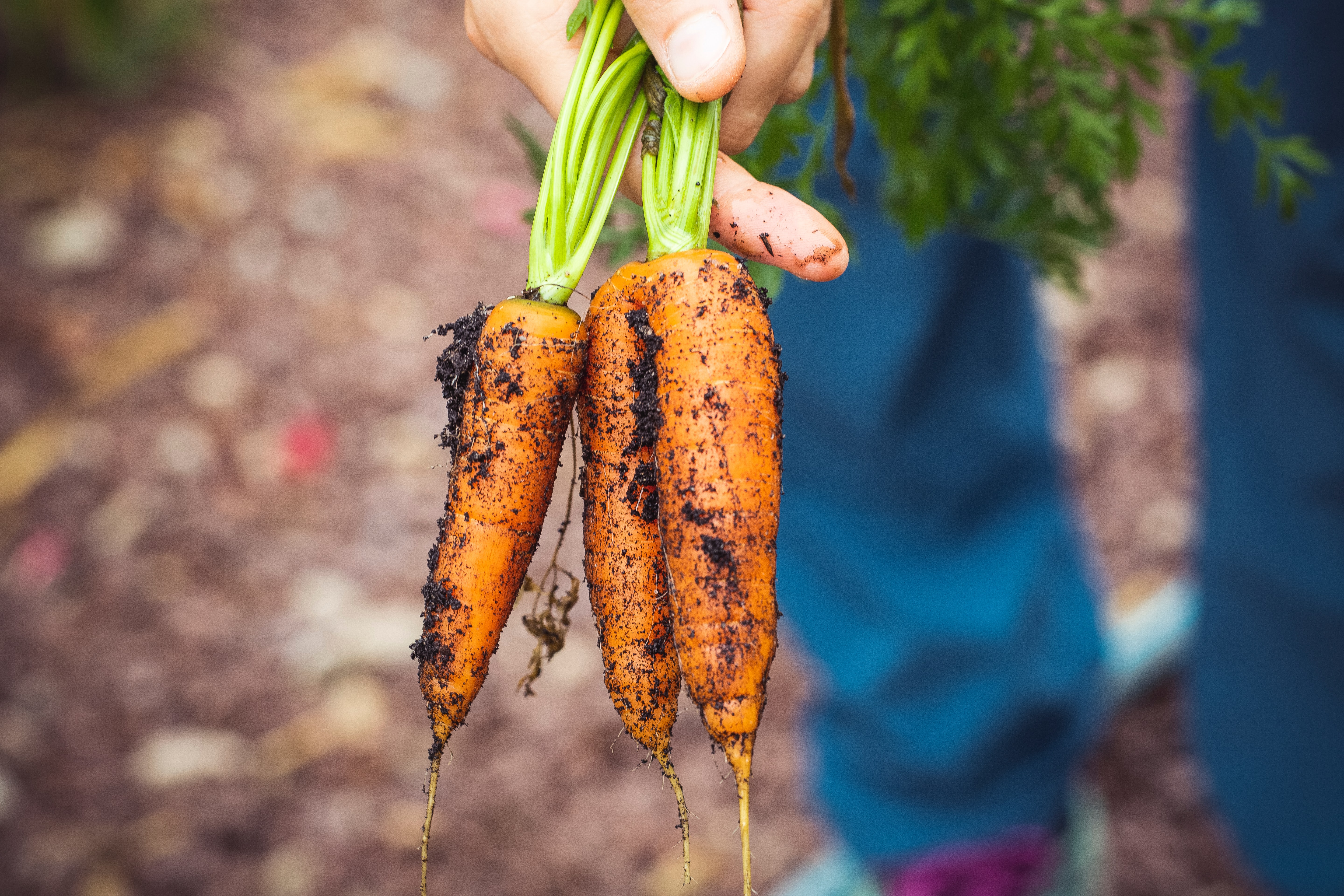 Photo by Markus Spiske on Unsplash