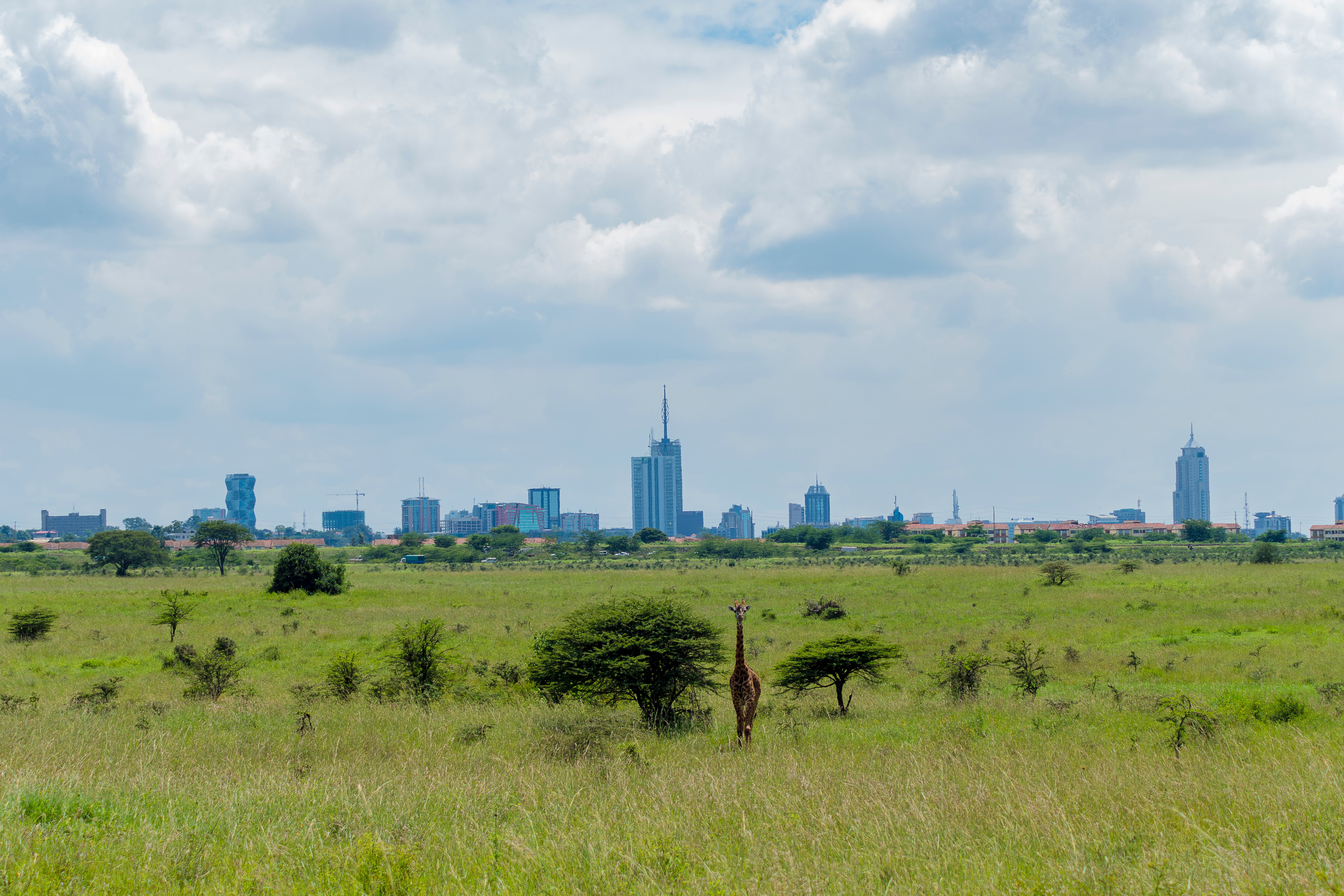 Photo by Murad Swaleh on Unsplash