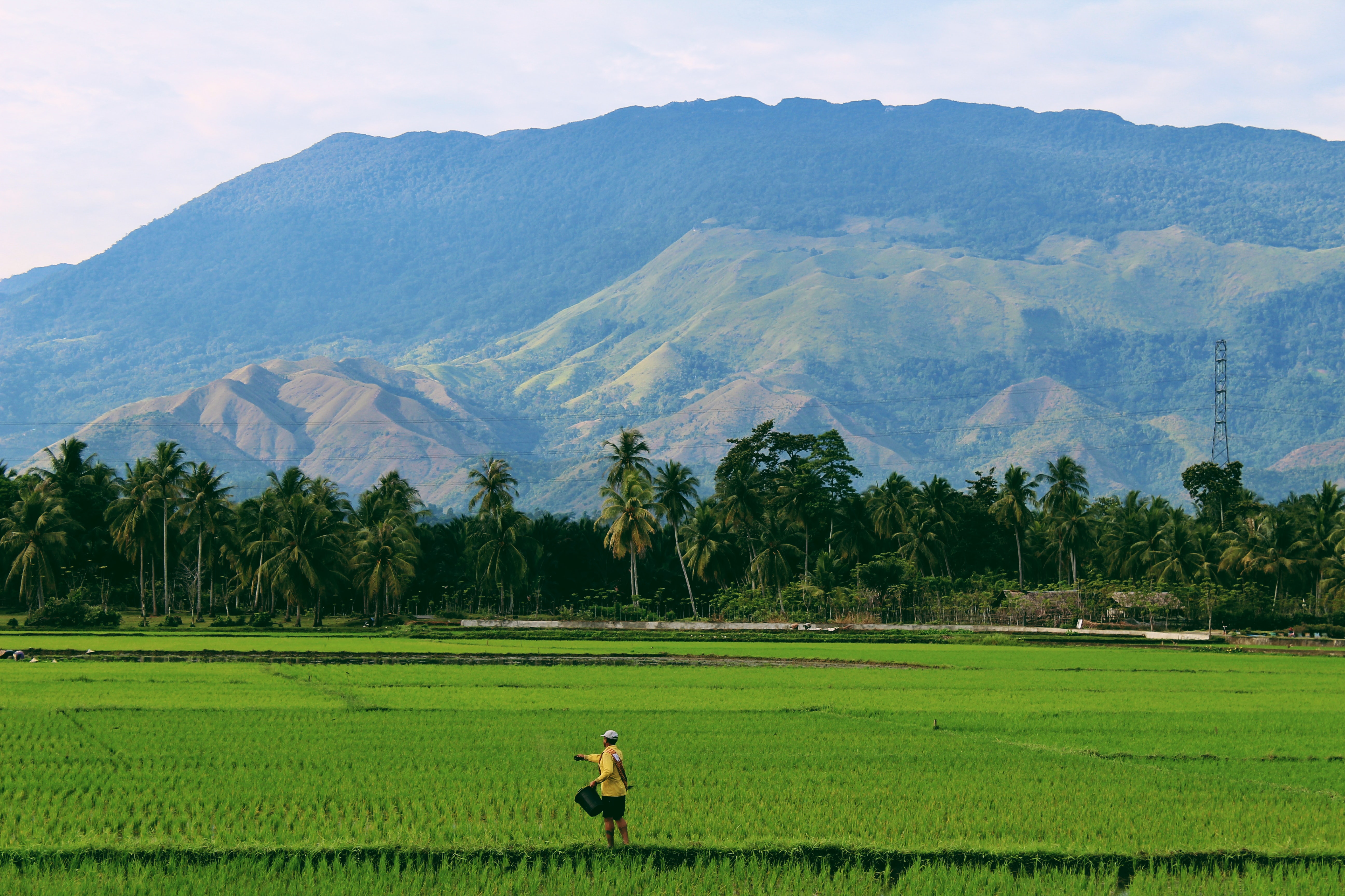 Photo by Sandy Zebua on Unsplash
