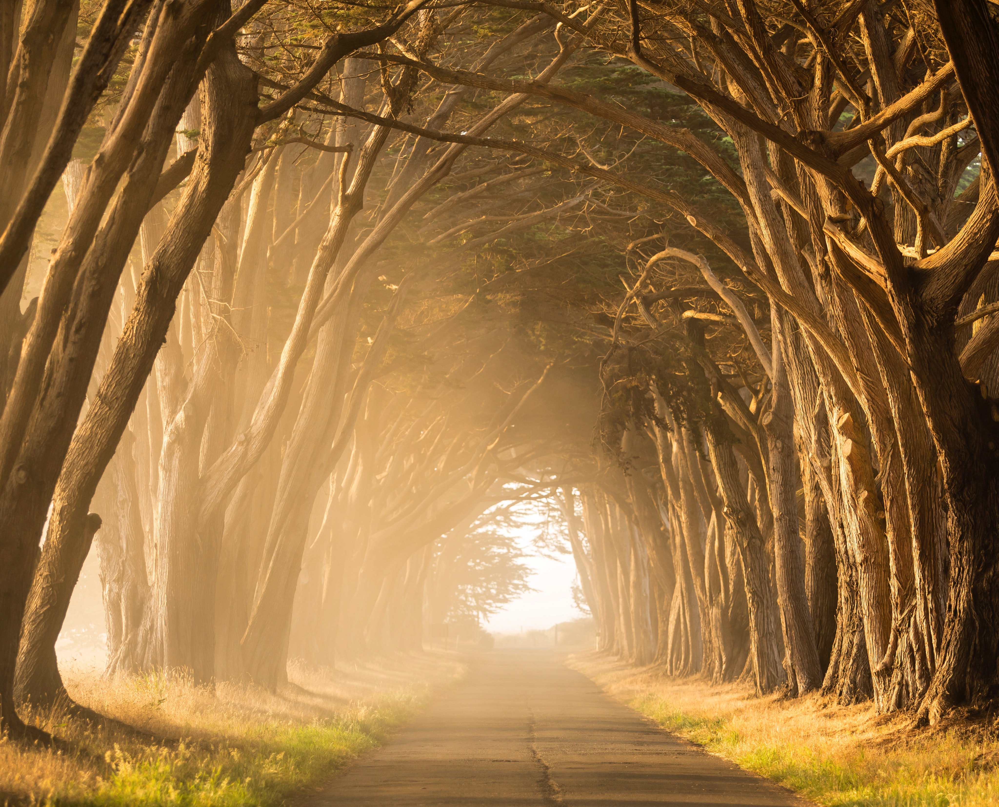 Photo by Stephen Leonardi on Unsplash