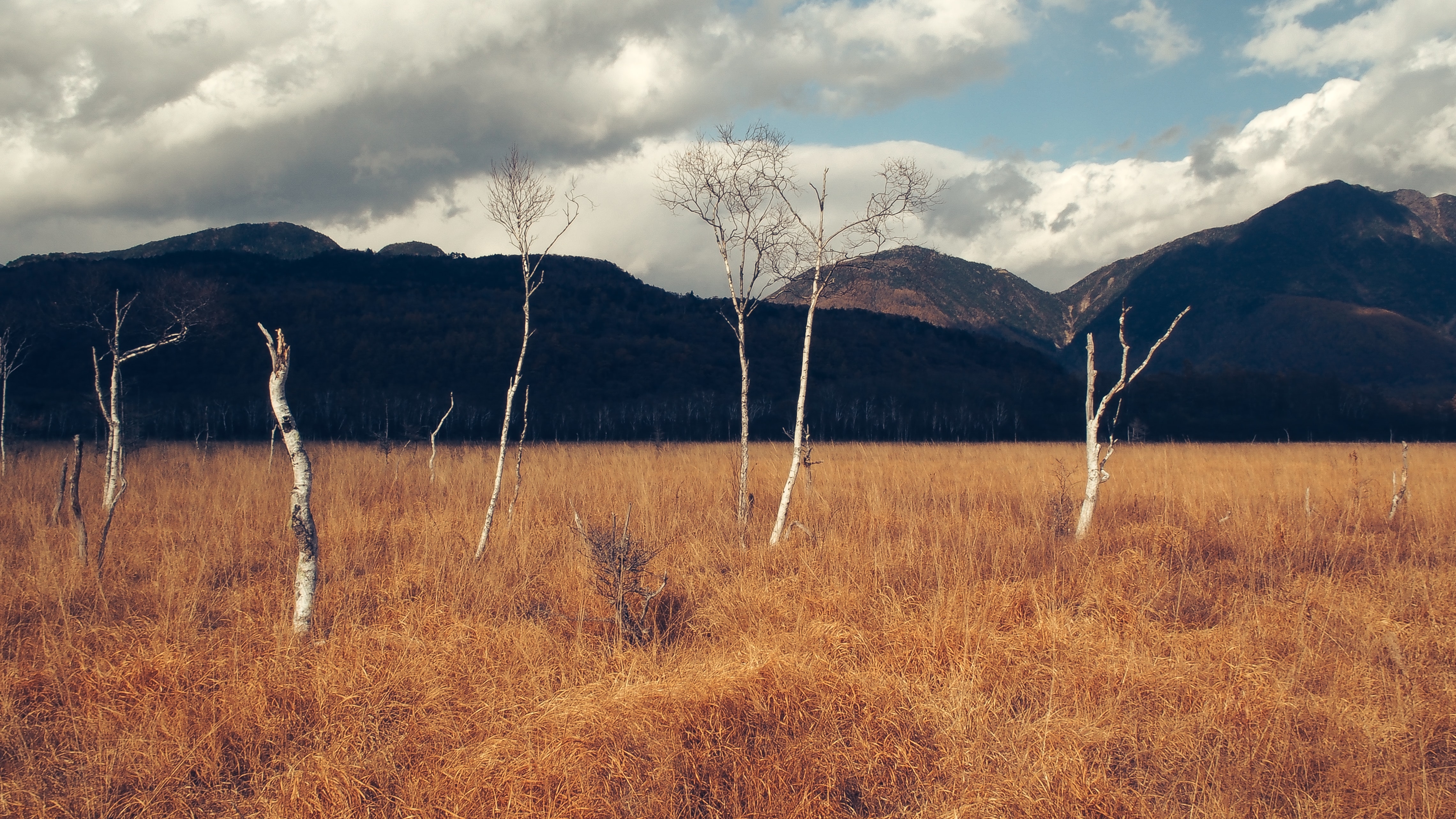 Photo by Thomas Rohlfs on Unsplash