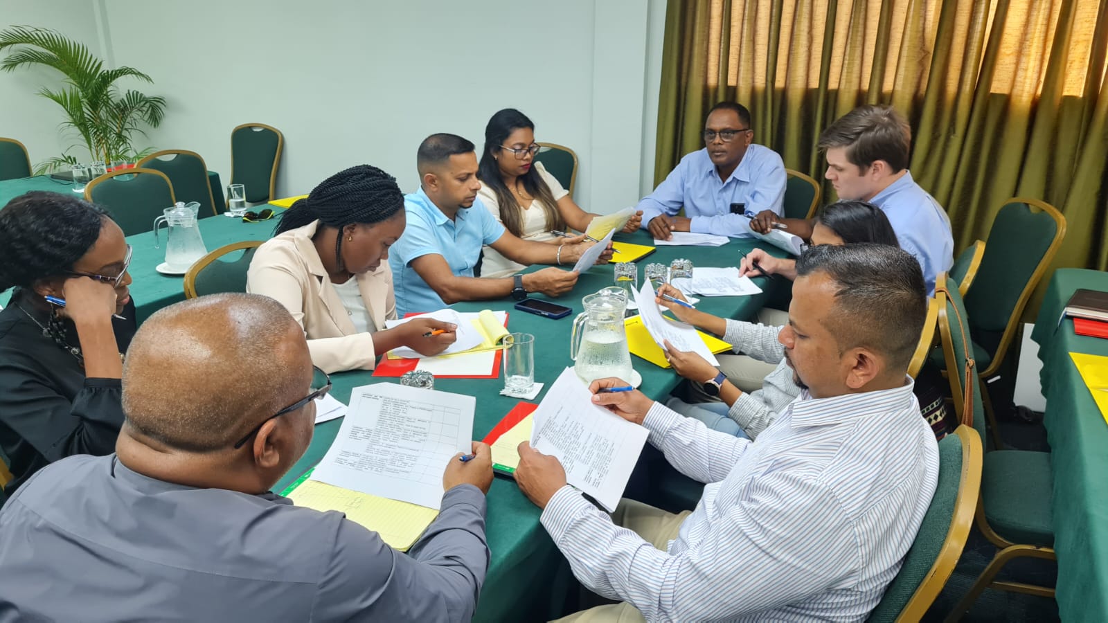 Pesticides Working Group at Validation Workshop