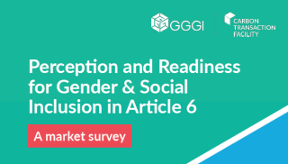 Perception and Readiness for Gender & Social Inclusion in Article 6: A market survey