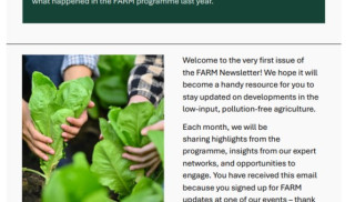 Newsletter - First Edition