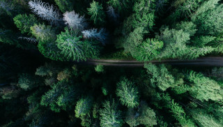 Photo by Geran de Klerk on Unsplash