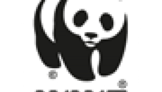 WWF logo