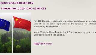 China-Europe Forest Bioeconomy_EFI