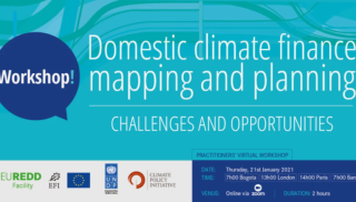 Domestic Climate Finance Mapping &amp; Planning Workshop_ CPI.png