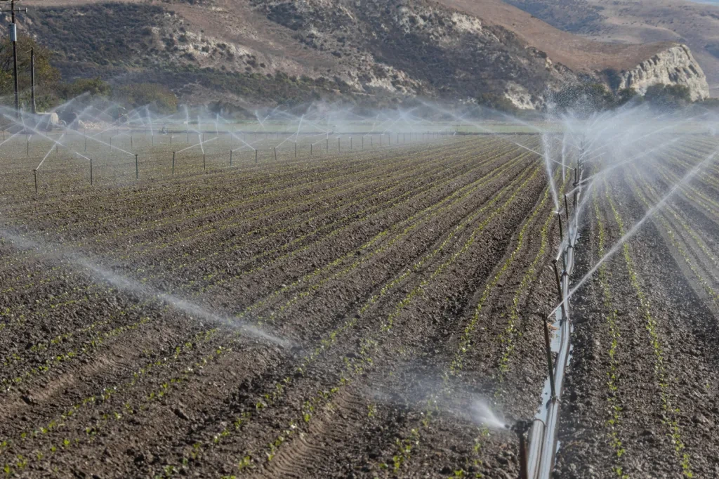 Rows-of-sprinklers-irrigate-newly-sown-and-planted-soybeans-in-a-field-in-California.jpg