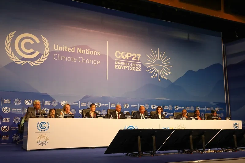 cop27_plennary.jpg