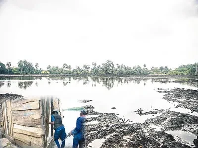 niger-delta-oil.jpg