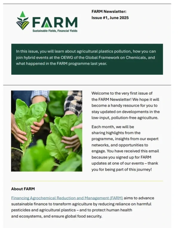 Newsletter - First Edition