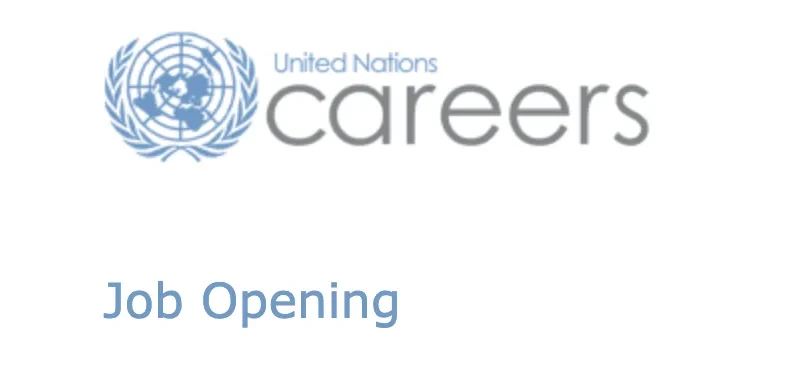 UN Jobs