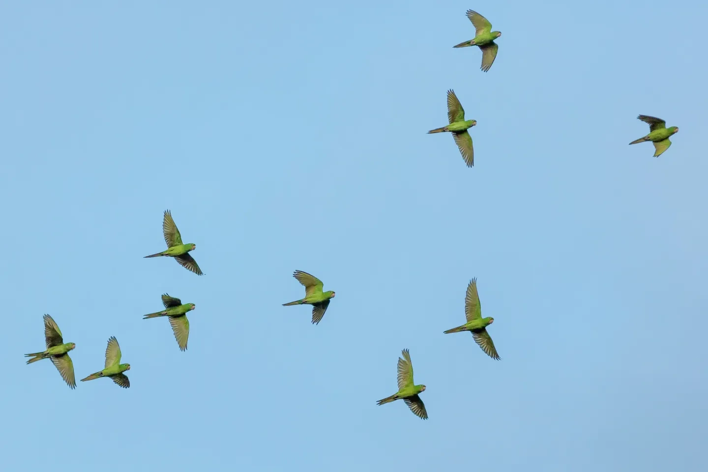 Photo by Gareth Davies - Unsplash 